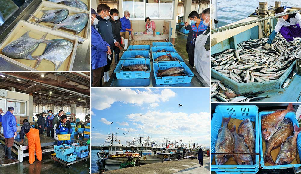 仮屋魚市見学